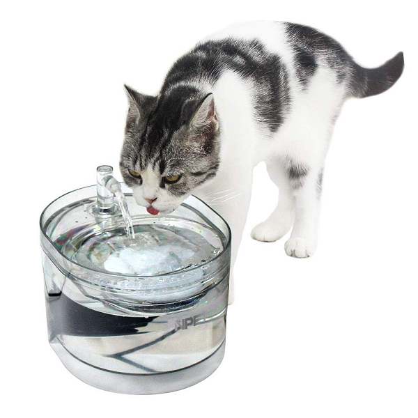 [해외]  [해외] NPET 애완 동물 자동 투명 정수기 WF030 고양이