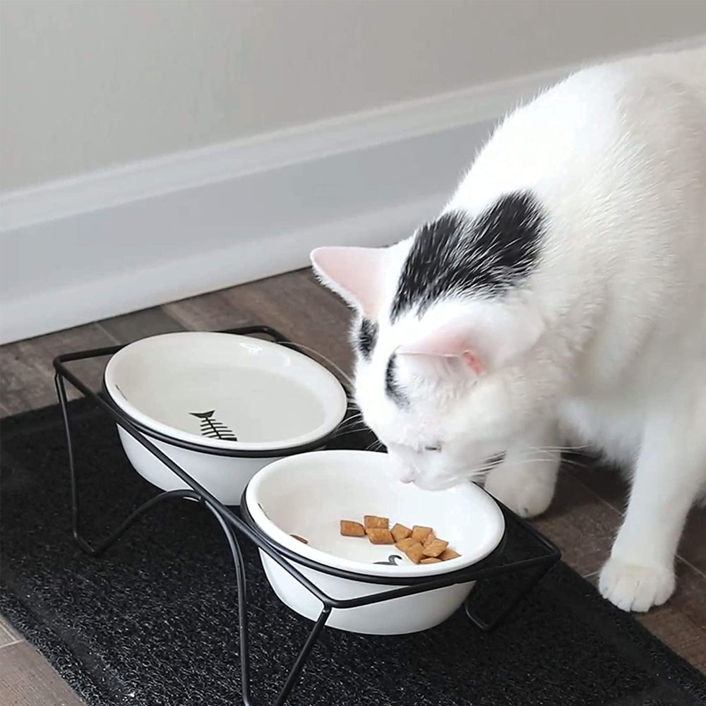[해외] JOYO 애완 동물 그릇 음식 고양이 무늬 세트 도자기 접시
